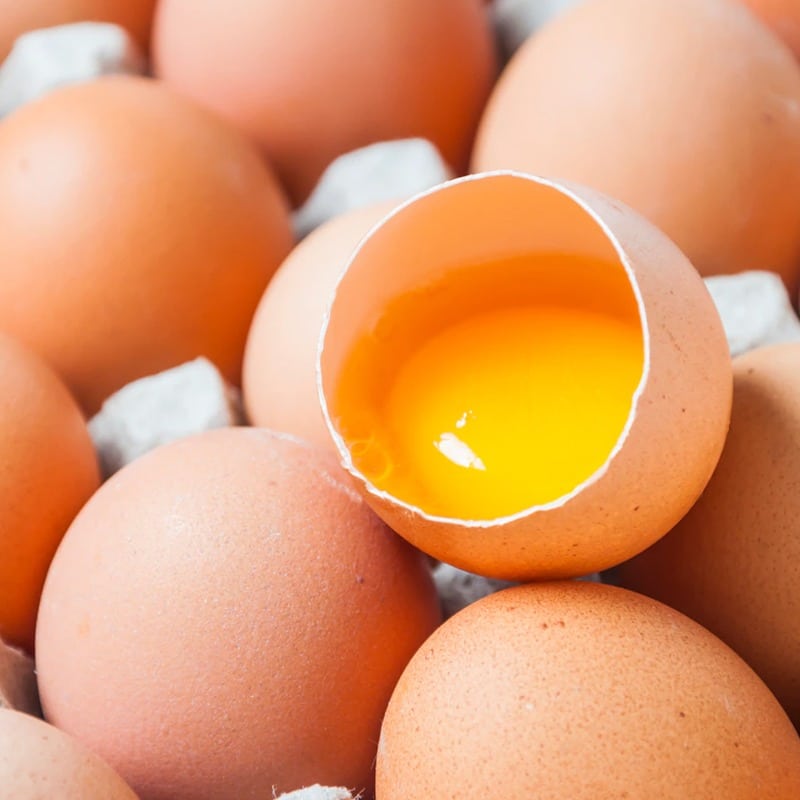 WhatsApp Image 2022 08 04 at 14.07.04